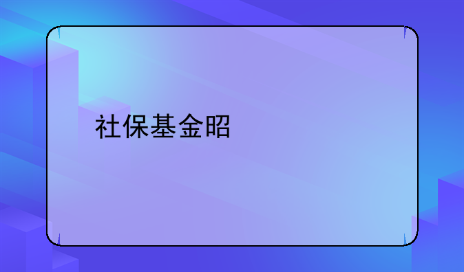 社保基金是什么
