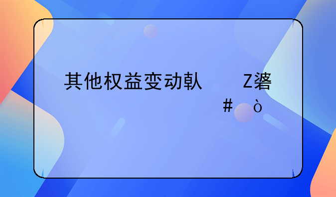 其他权益变动借方表示什么？