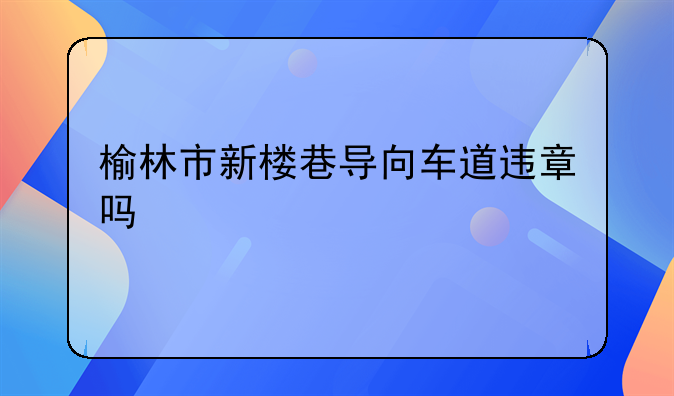 榆林市新楼巷导向车道违章吗