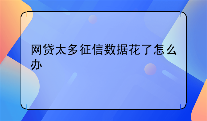 网贷太多征信数据花了怎么办
