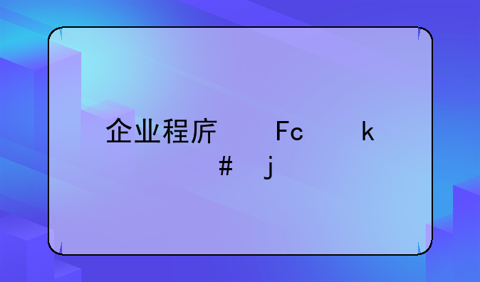 企业程序员做什么的