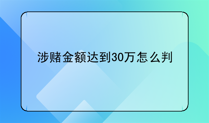 涉赌金额达到30万怎么判