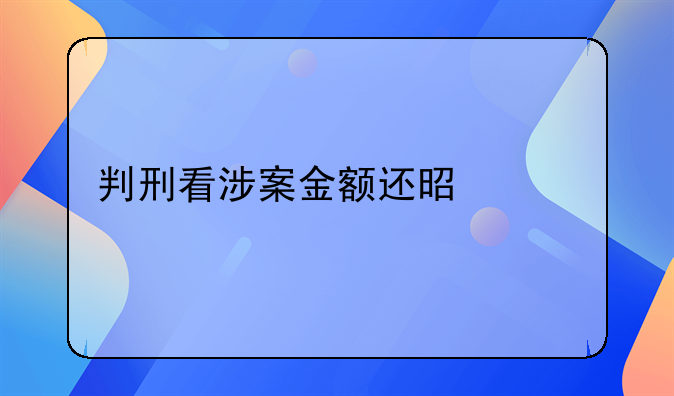 判刑看涉案金额还是流水