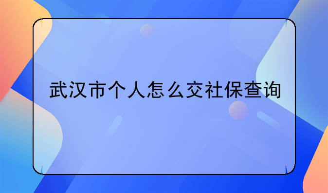 武汉市个人怎么交社保查询