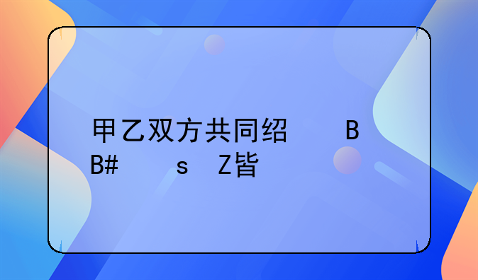 甲乙双方共同经营合作方案