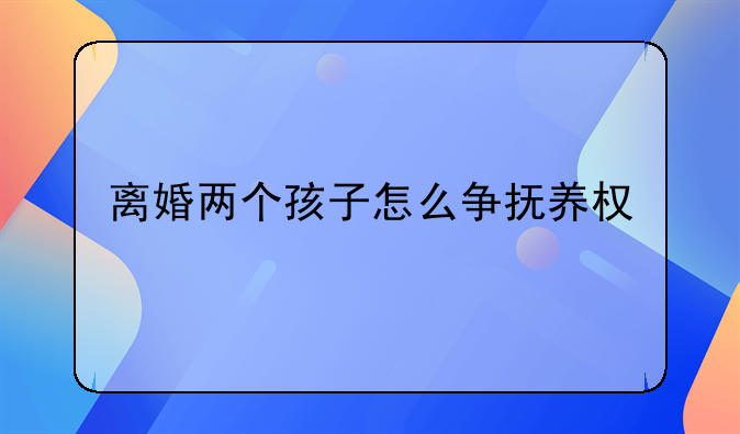 离婚两个孩子怎么争抚养权