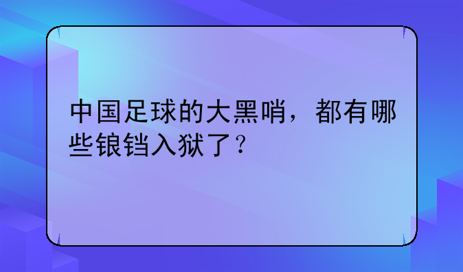 中国足球的大黑哨，都有哪些锒铛入狱了？