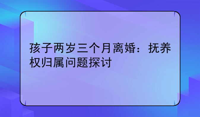 孩子两岁三个月离婚：抚养权归属问题探讨