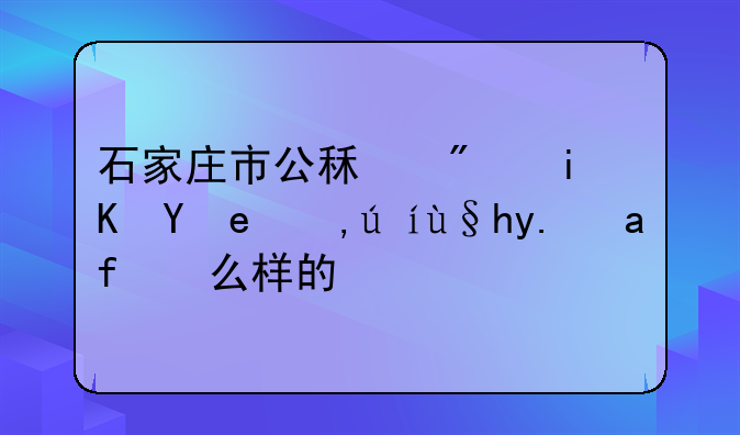 石家庄市公租房政策申请条件是怎么样的？