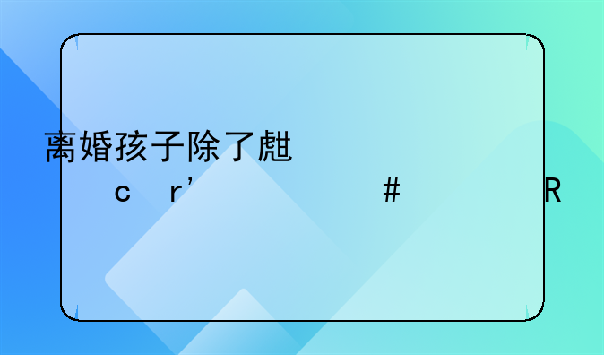 离婚孩子除了生活费还有什么费用