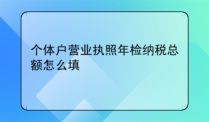 个体户营业执照年检纳税总额怎么填