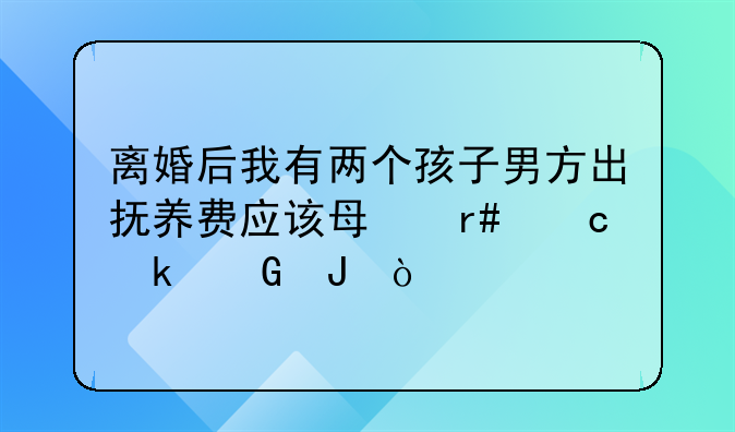离婚后我有两个孩子男方出抚养费应该每月付多少钱？