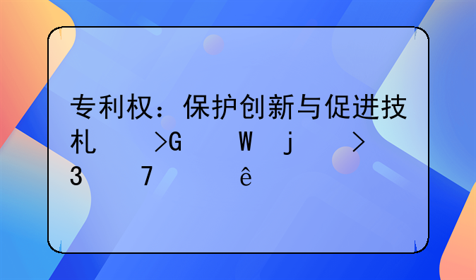 专利权：保护创新与促进技术发展的双重维度