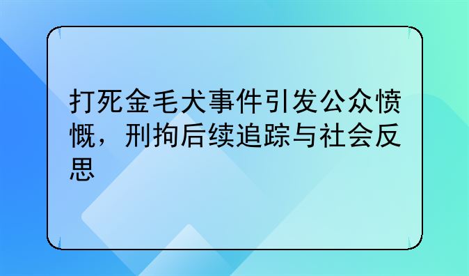 打死金毛犬事件引发公众愤慨，刑拘后续追踪与社会反思